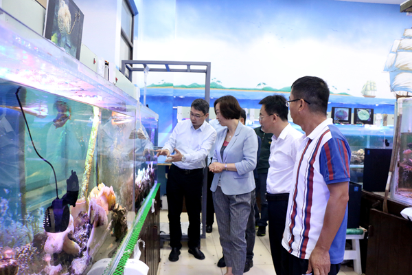 永利集团88304官网