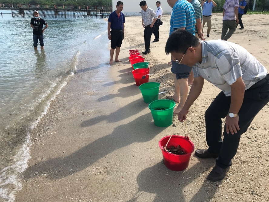 永利集团88304官网