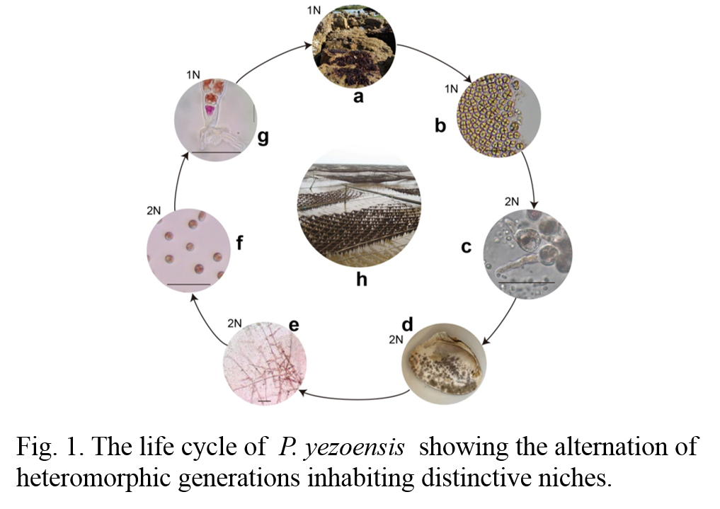 永利集团88304官网